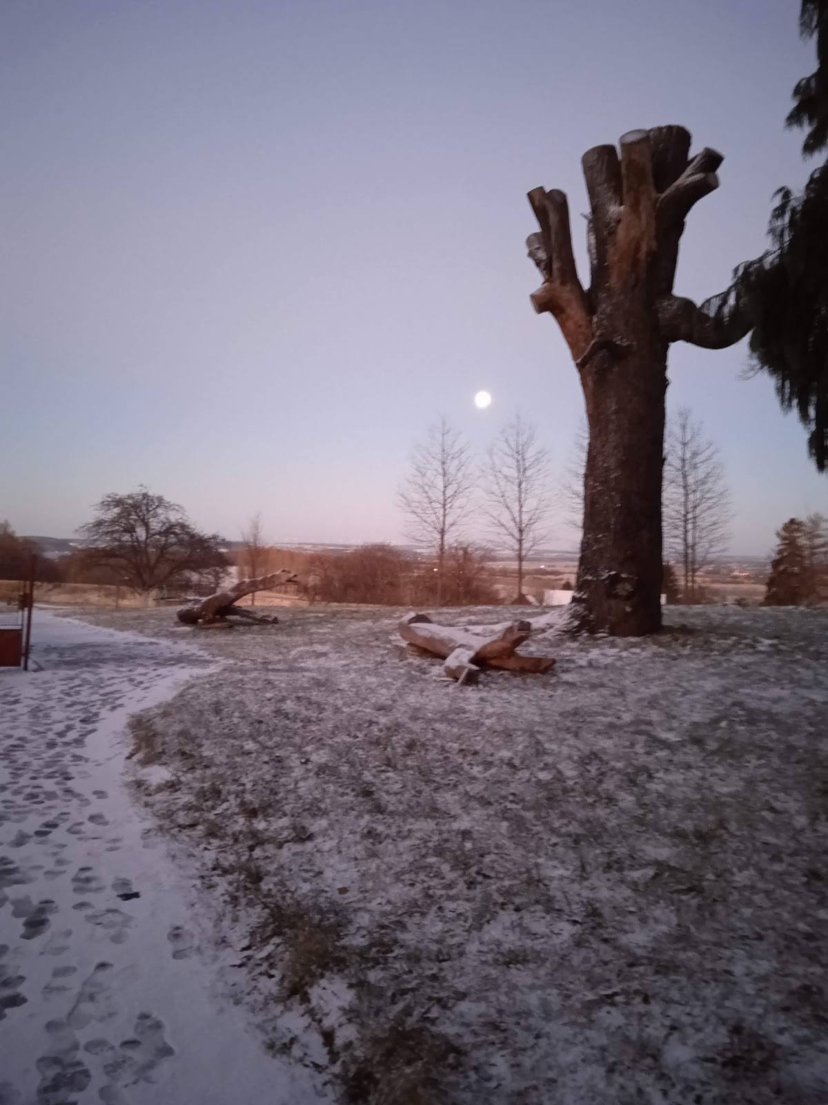 Bílá Voda, Psychiatrická nemocnice Marianny Oranžské - foto 8