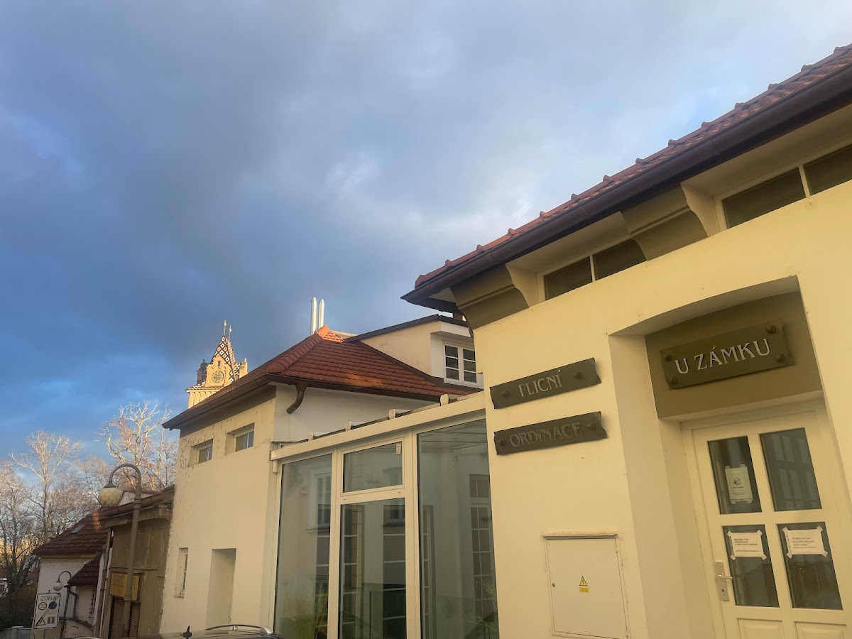 Brandýs nad Labem, Plicní ambulance - foto 1