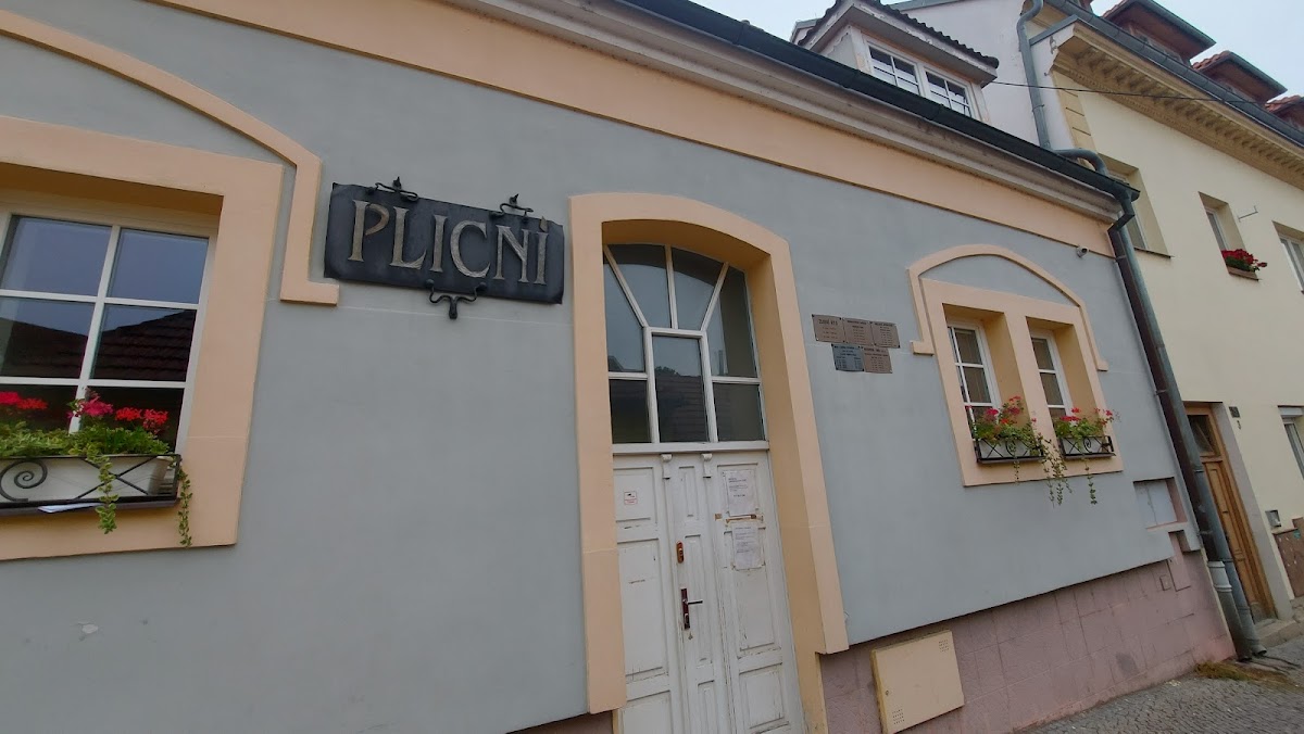 Brandýs nad Labem, Plicní ambulance - foto 9