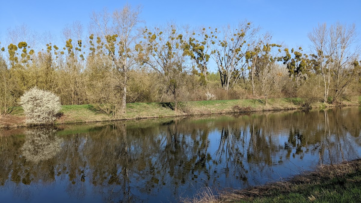Brno, Krajský školský koordinátor prevence - foto 7