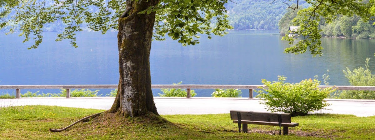 Brno, Následná péče Kolping - foto 3