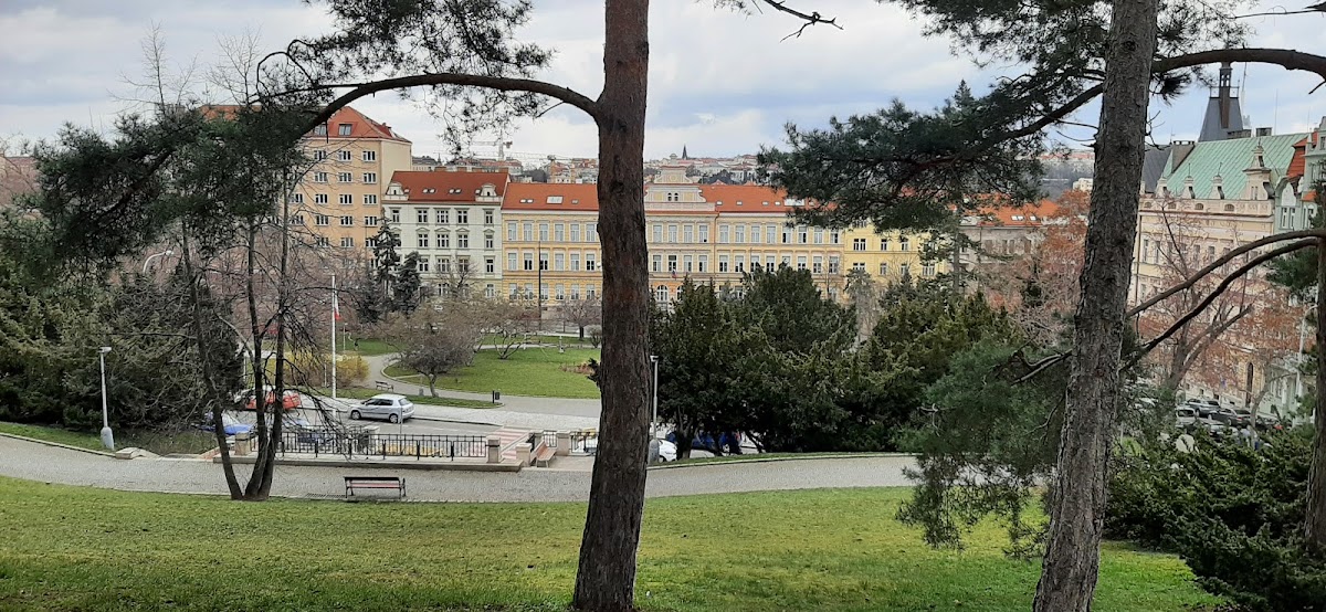 Černošice, místní protidrogový koordinátor - foto 8