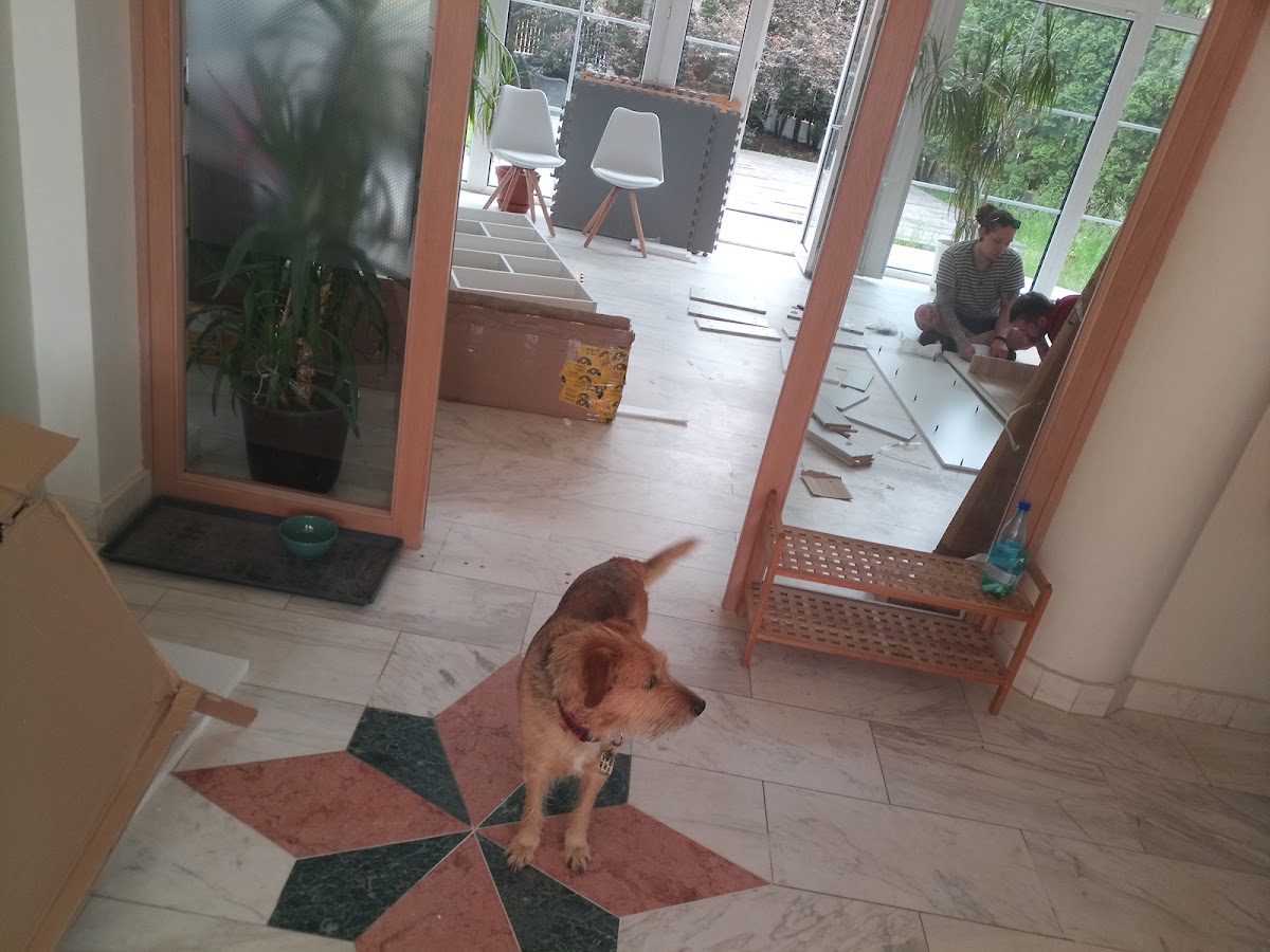 Česká psychedelická společnost (CZEPS) - foto 8