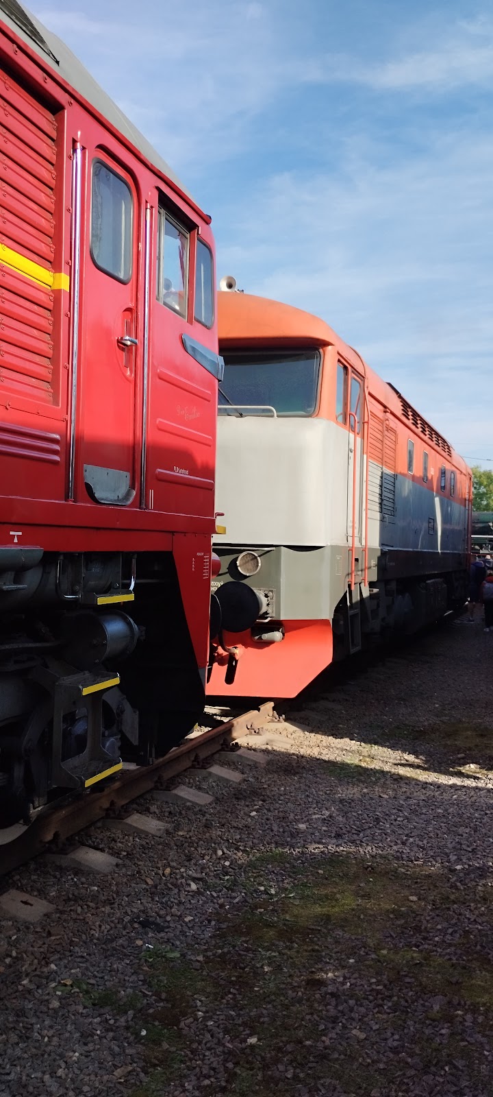 Česká Třebová, Místní protidrogový koordinátor - foto 2