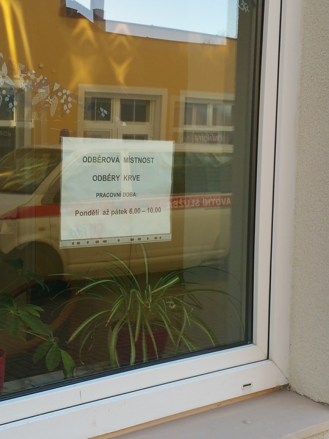 Cheb, Místní protidrogový koordinátor - foto 3