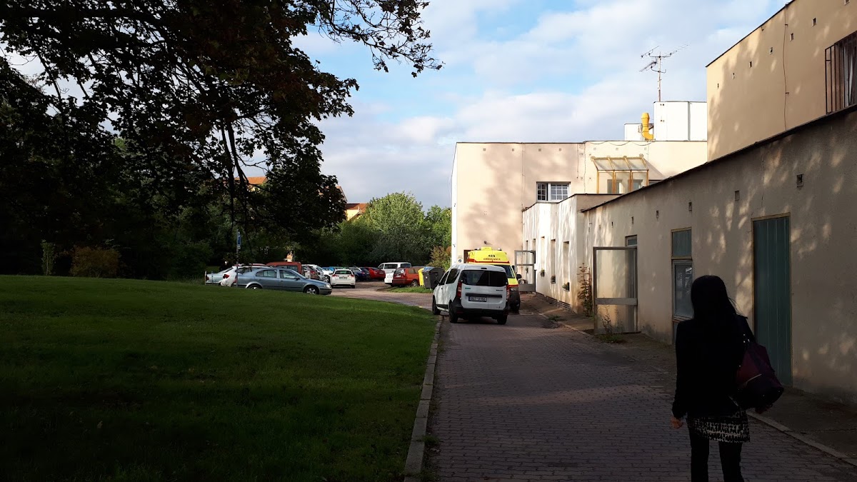 Dětská psychiatrická nemocnice Louny - foto 10