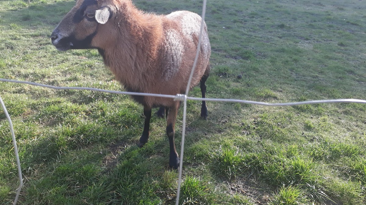 Domov sv. Františka - terénní program - foto 6