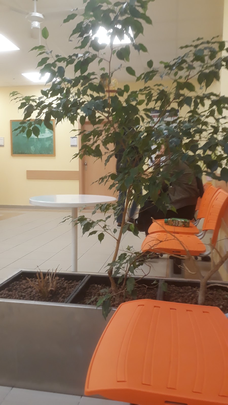 ESET, psychoterapeutická a psychosomatická klinika s.r.o. - foto 7
