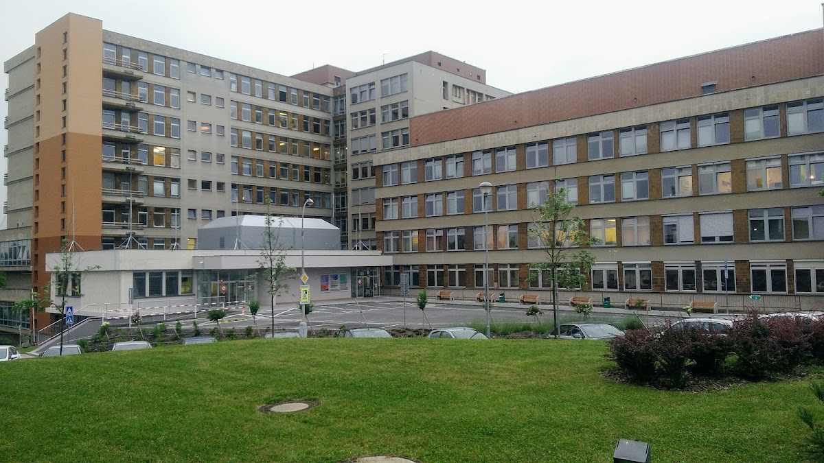 Fakultní nemocnice Plzeň - Lochotín - foto 1