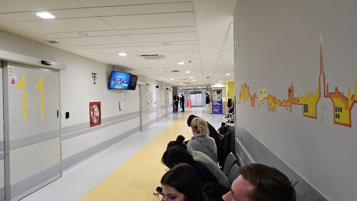 Fakultní nemocnice Plzeň - Lochotín - foto 8