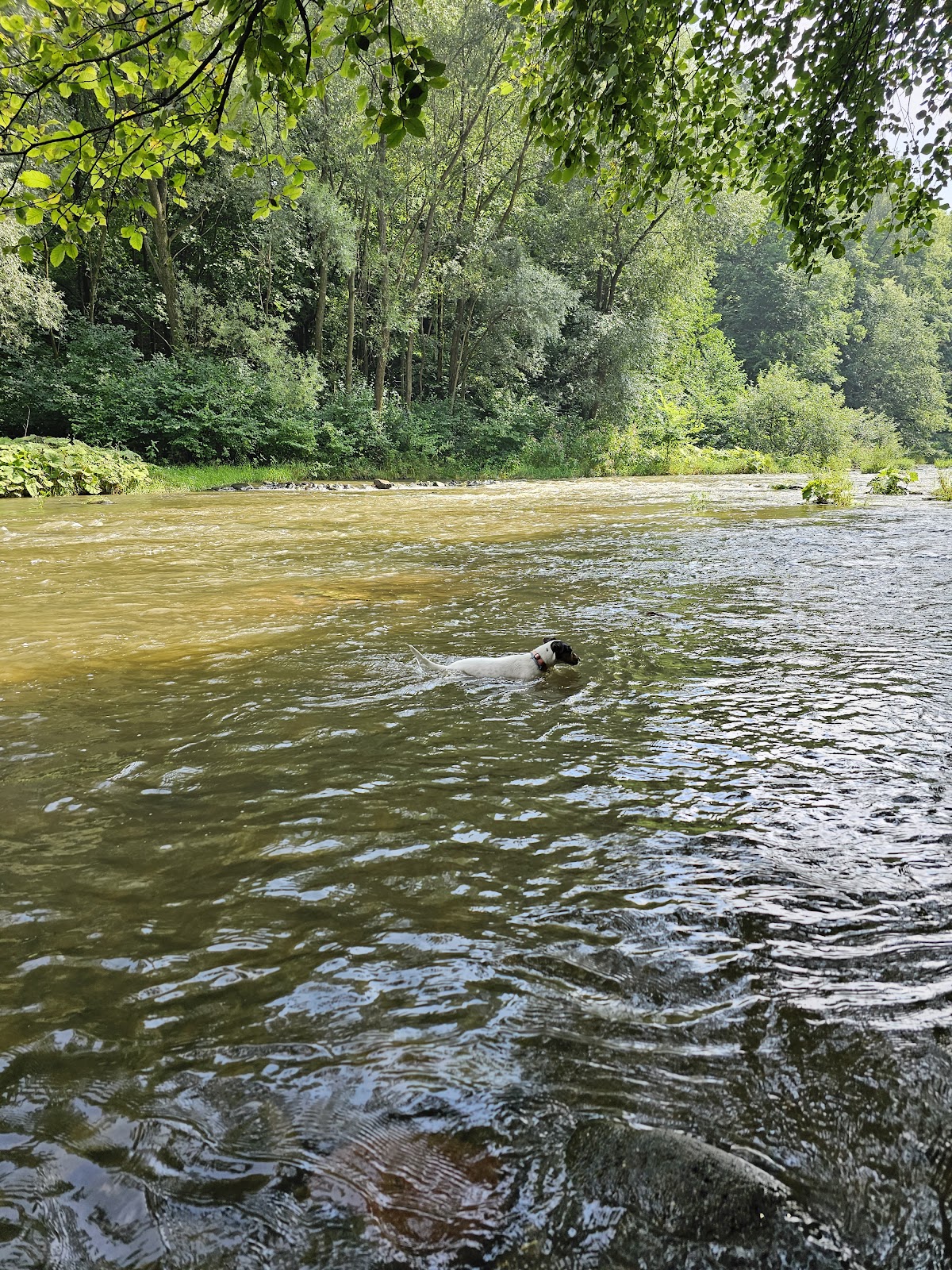 Frýdlant nad Ostravicí, Místní protidrogový koordinátor - foto 5