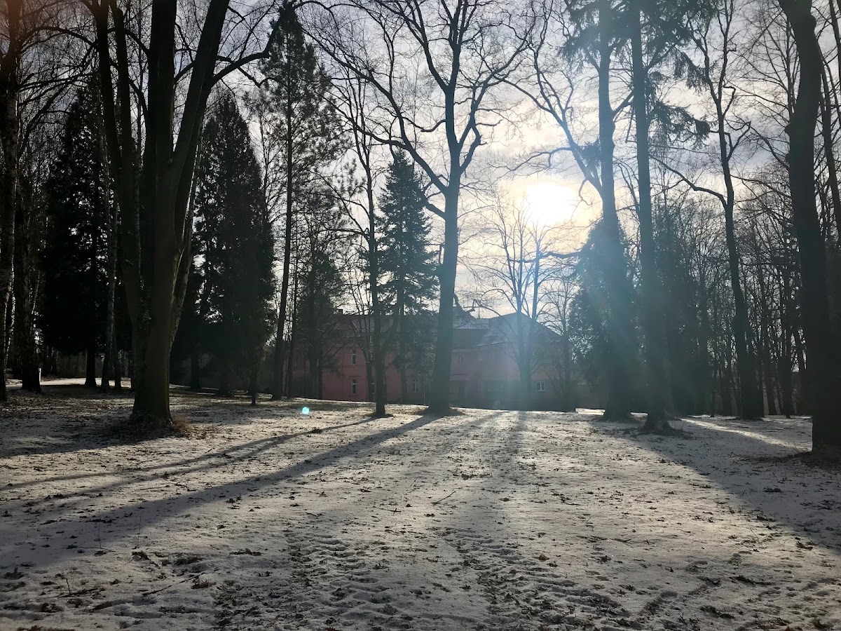 Havlíčkův Brod, Psychiatrická ambulance - foto 3
