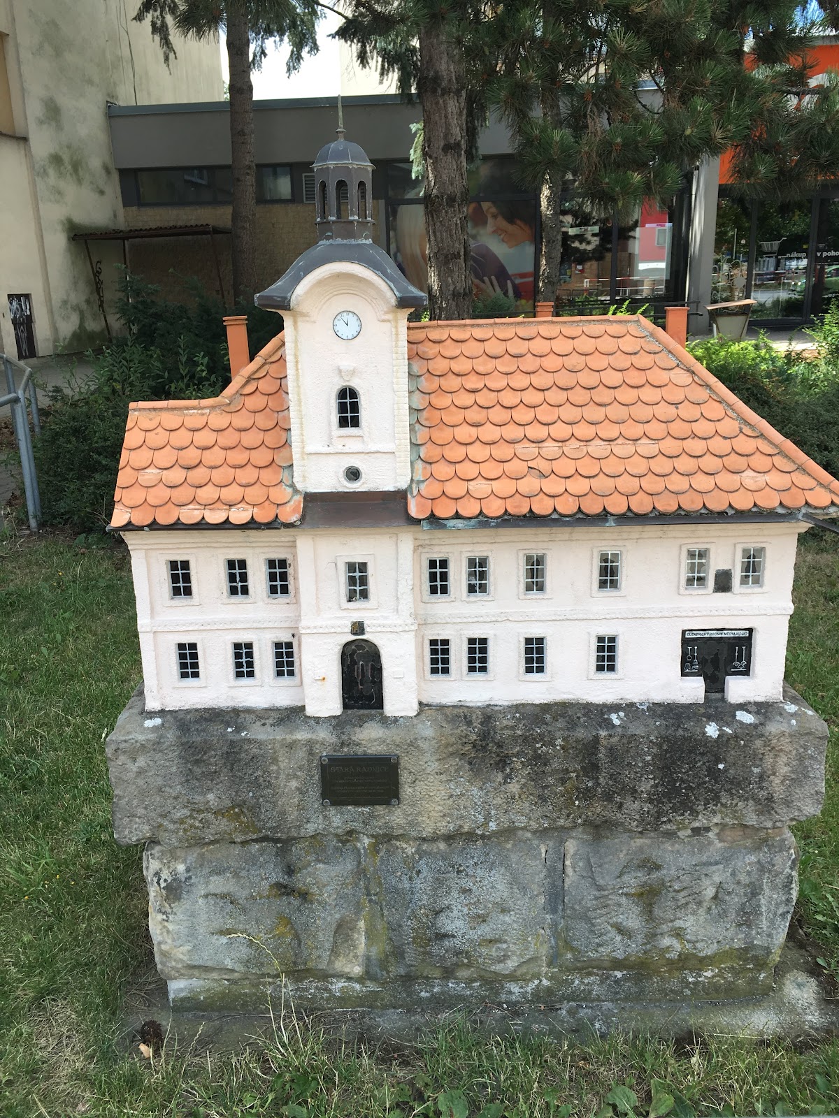 Holice, Místní protidrogový koordinátor - foto 5