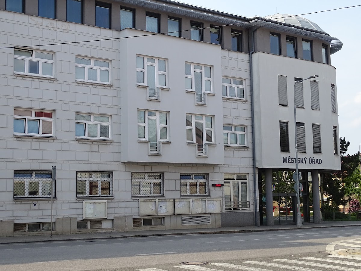 Holice, Místní protidrogový koordinátor - foto 6