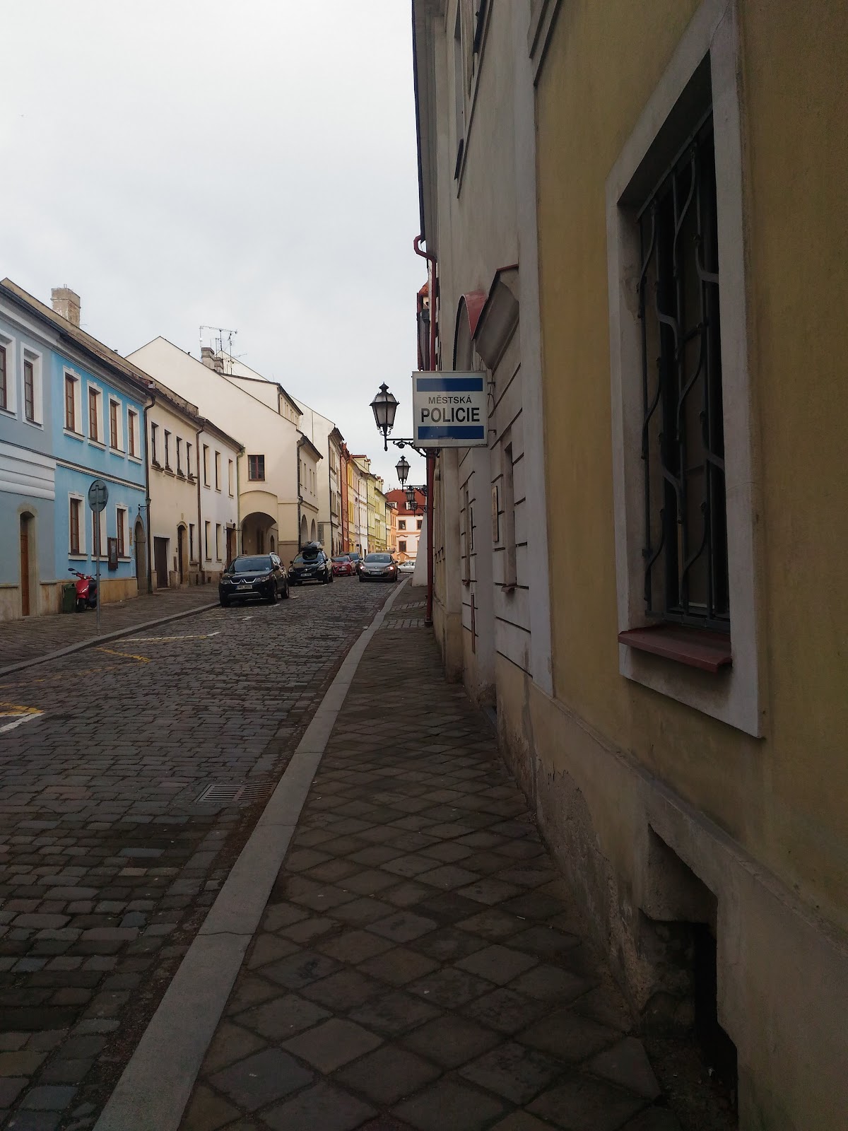 Hradec Králové, vedoucí oddělení prevence kriminality MPHK - foto 6