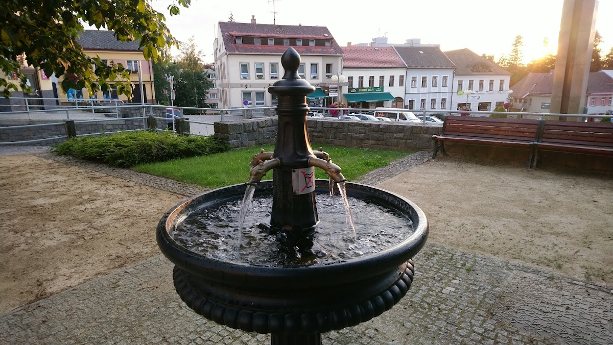 Humpolec, Místní protidrogový koordinátor - foto 6