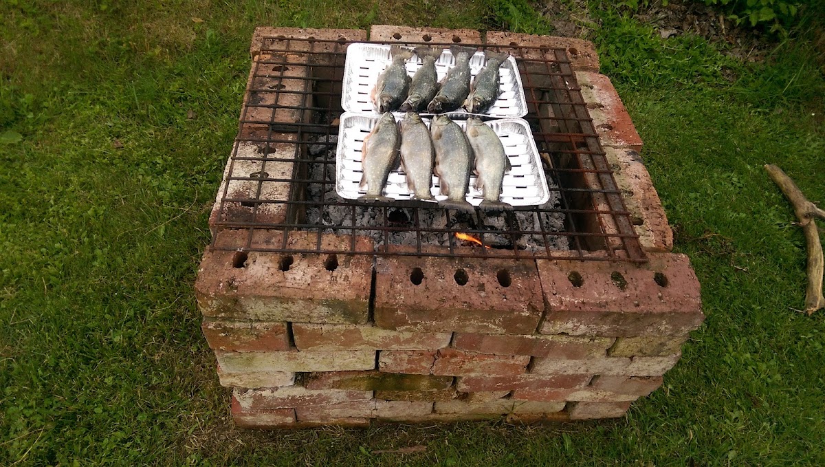 ZAHRADA 2000 z. s. - foto 7