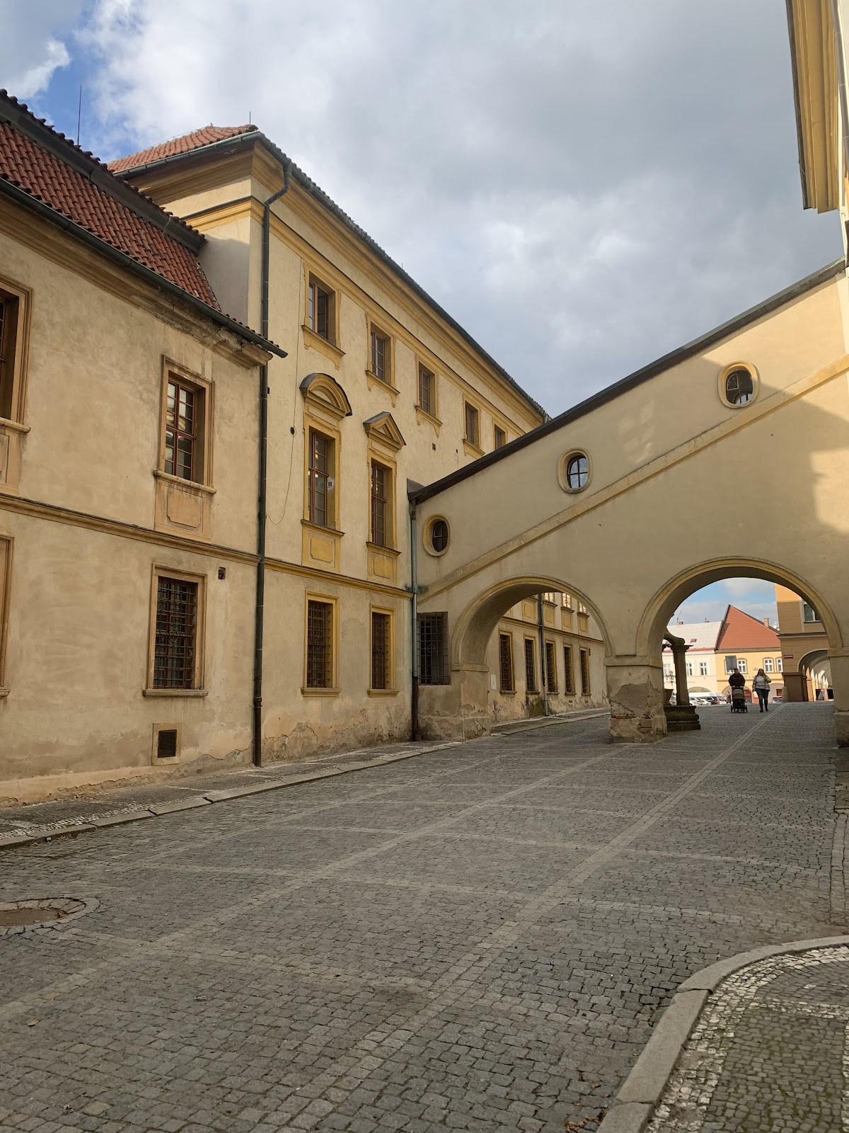 Jičín, Místní protidrogový koordinátor - foto 5