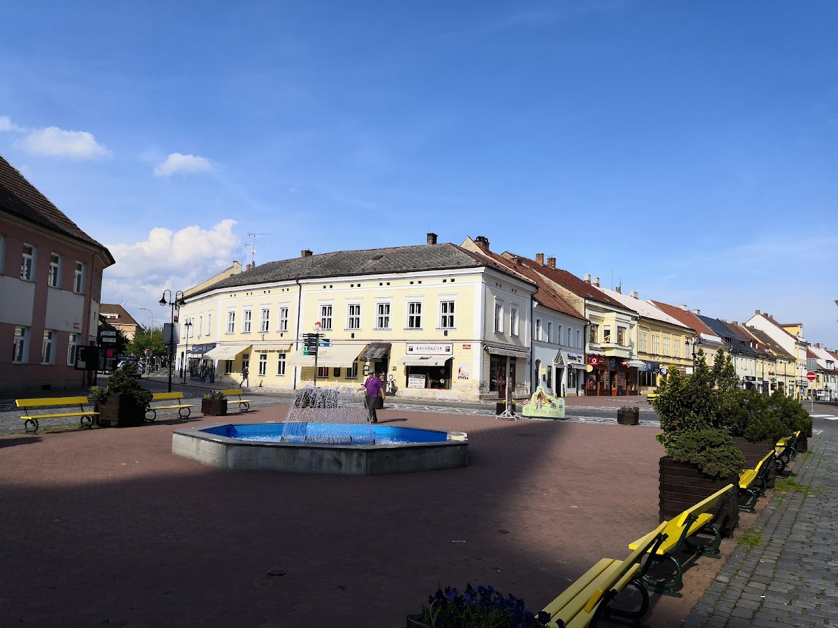 Jičín, Místní protidrogový koordinátor - foto 7