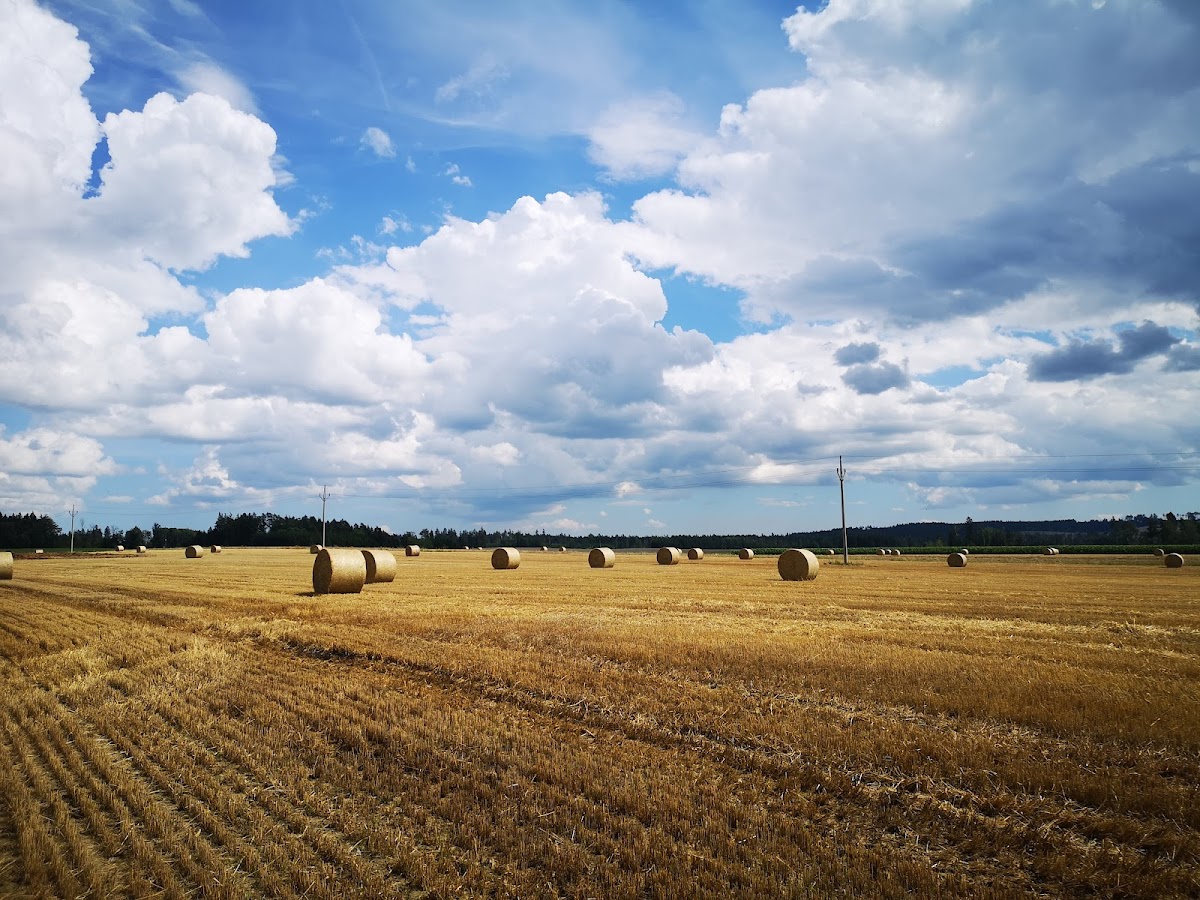 Jihlava, Krajský školský koordinátor prevence - foto 1