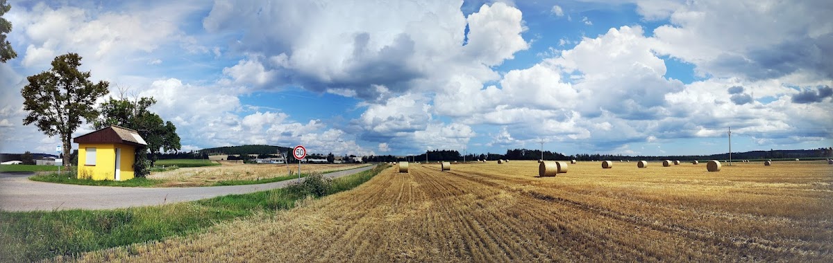 Jihlava, Krajský školský koordinátor prevence - Jihlava