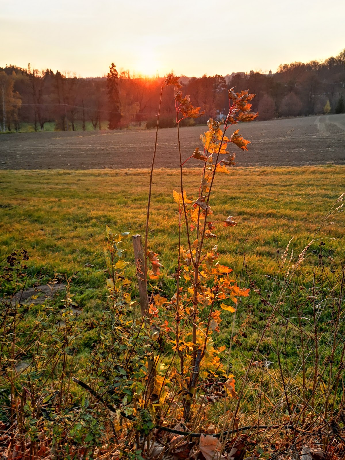 Jihlava, Krajský školský koordinátor prevence - foto 2