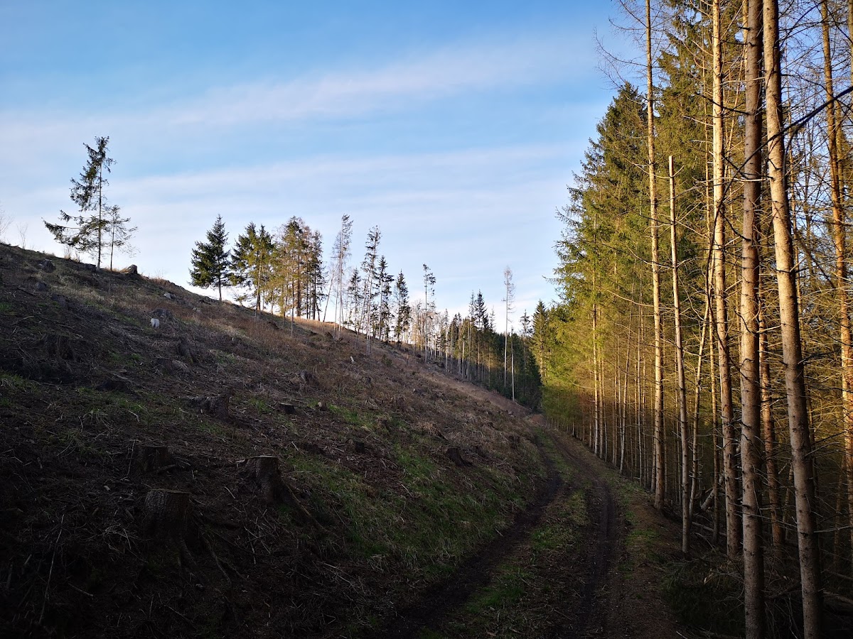 Jihlava, Krajský školský koordinátor prevence - foto 4