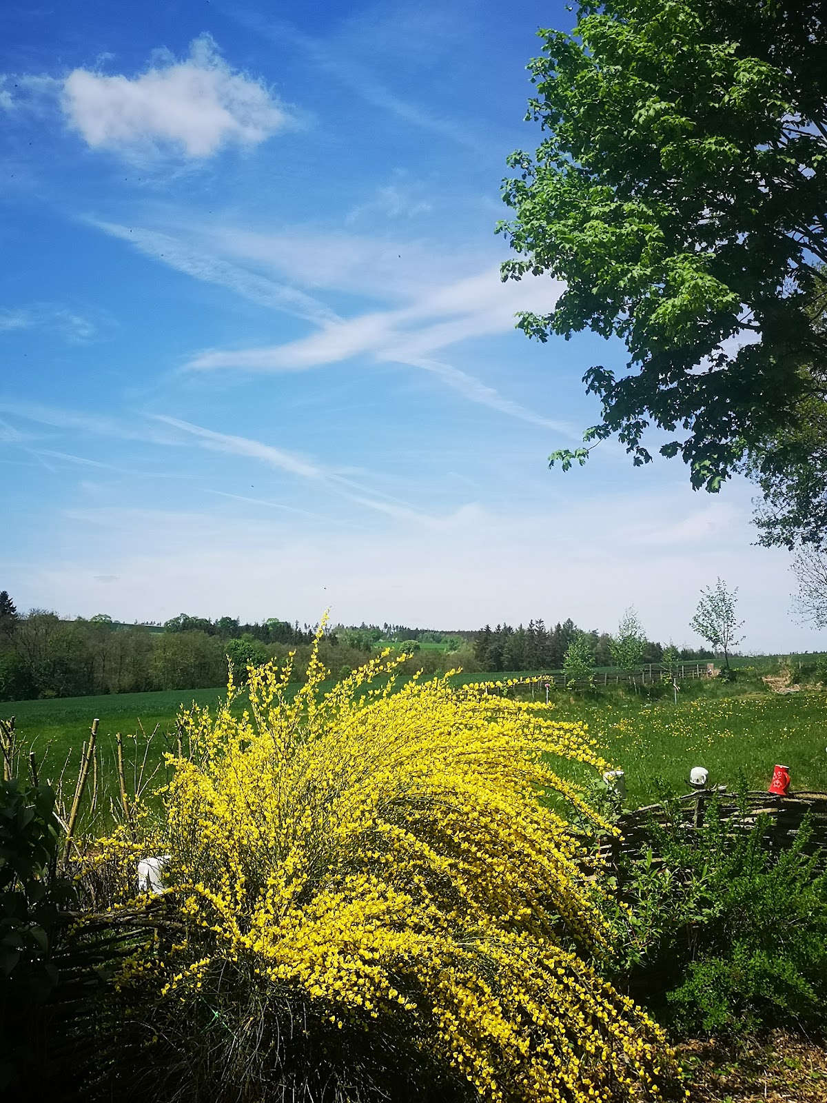 Jihlava, Krajský školský koordinátor prevence - foto 5