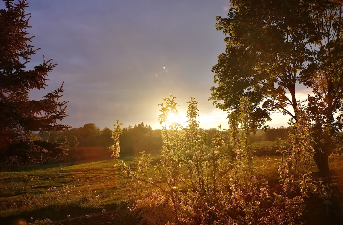 Jihlava, Krajský školský koordinátor prevence - foto 9