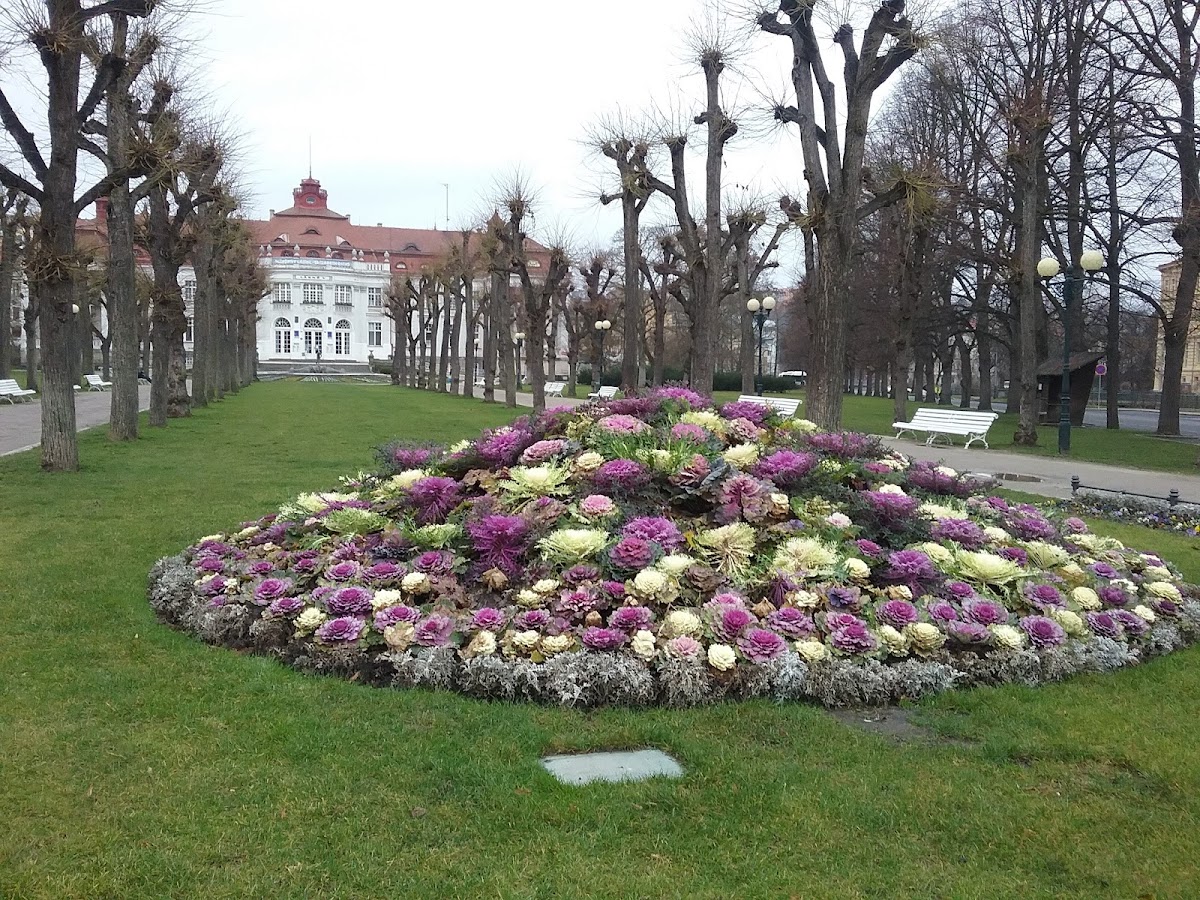 Karlovy Vary, Místní protidrogový koordinátor - foto 4