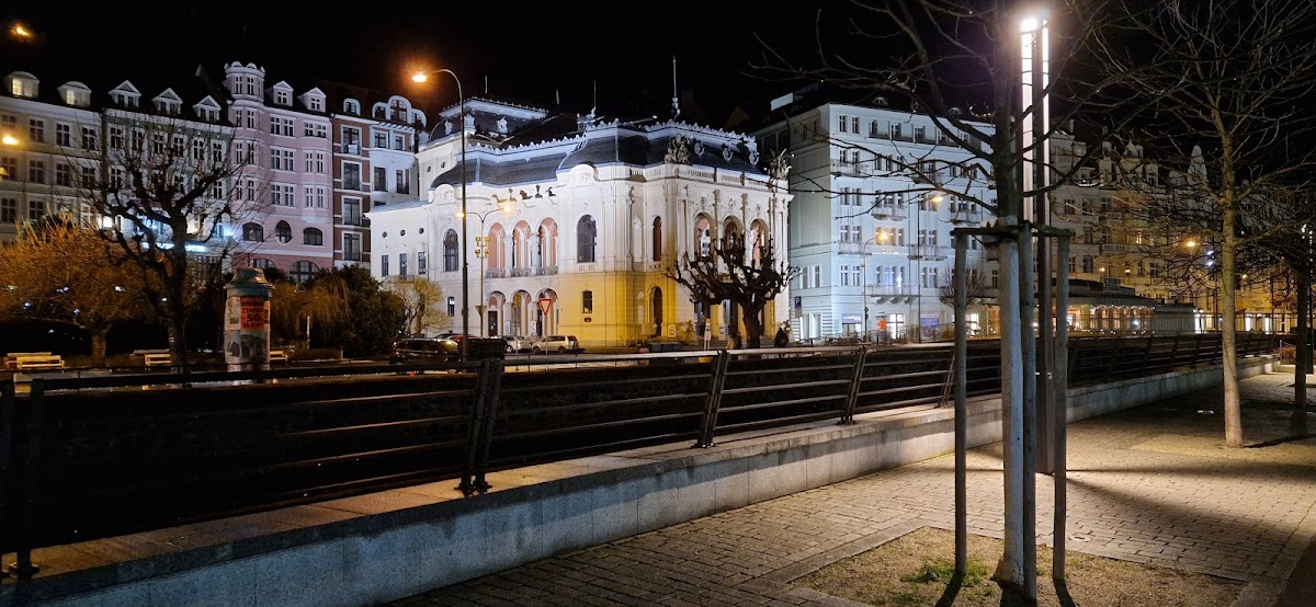 Karlovy Vary, Místní protidrogový koordinátor - foto 5
