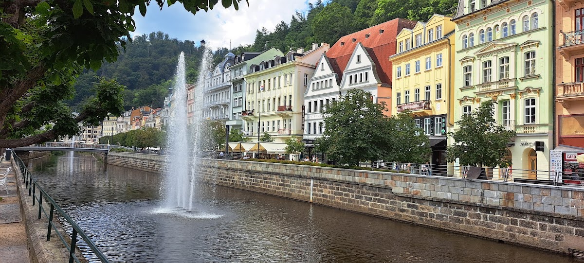 Karlovy Vary, Místní protidrogový koordinátor - foto 6