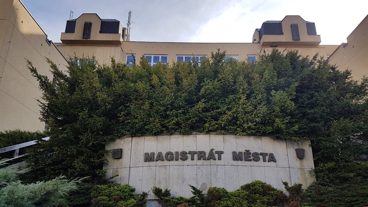 Karlovy Vary, Místní protidrogový koordinátor - foto 7