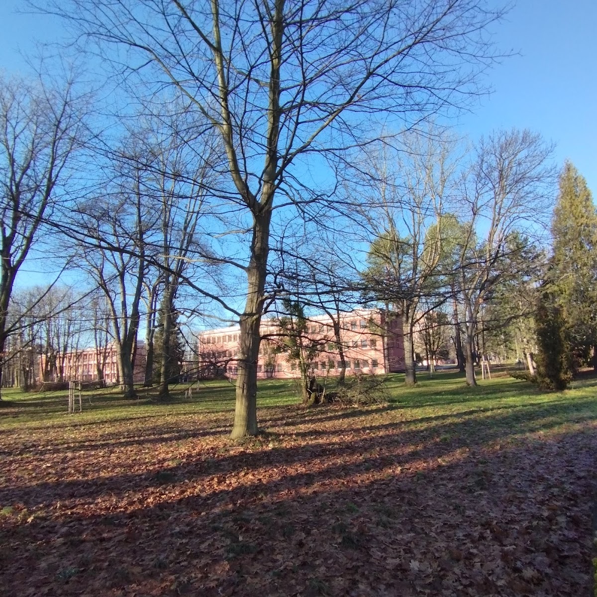 Karviná, Ambulance infekčních nemocí při Nemocnici s poliklinikou Karviná - Ráj - foto 10