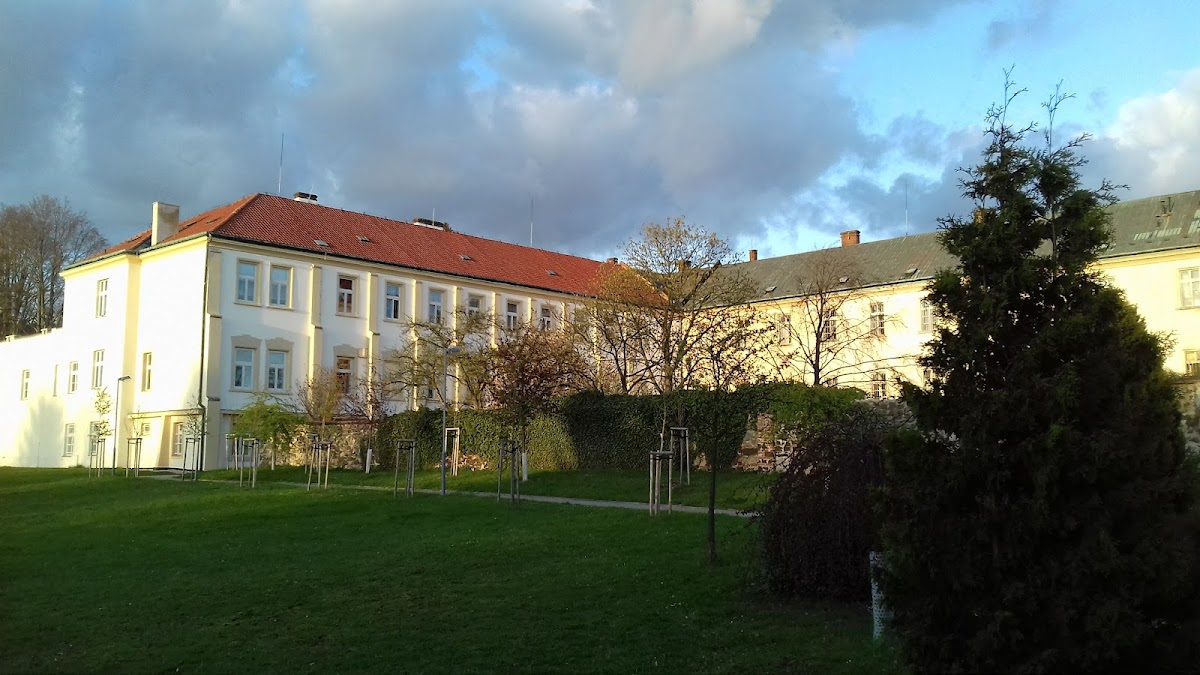 Kosmonosy, Detoxifikace - foto 4