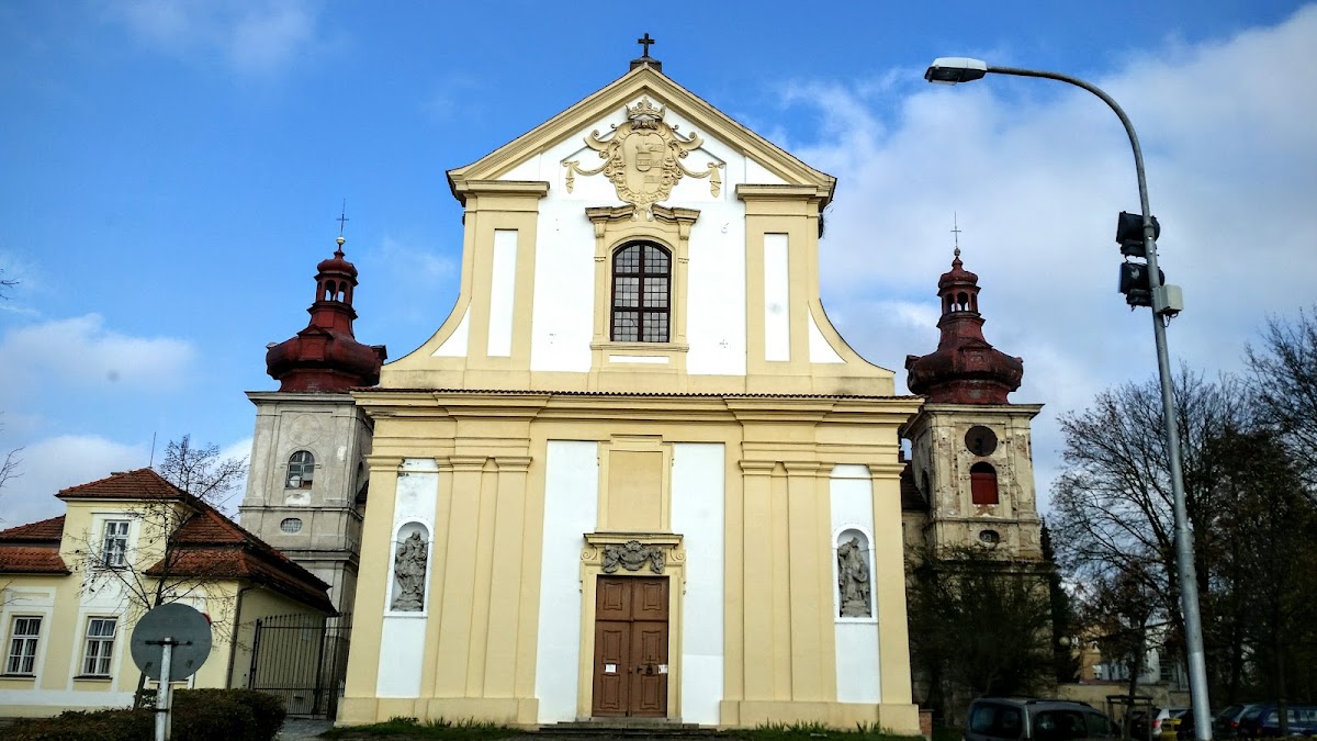 Kosmonosy, Detoxifikace - foto 7