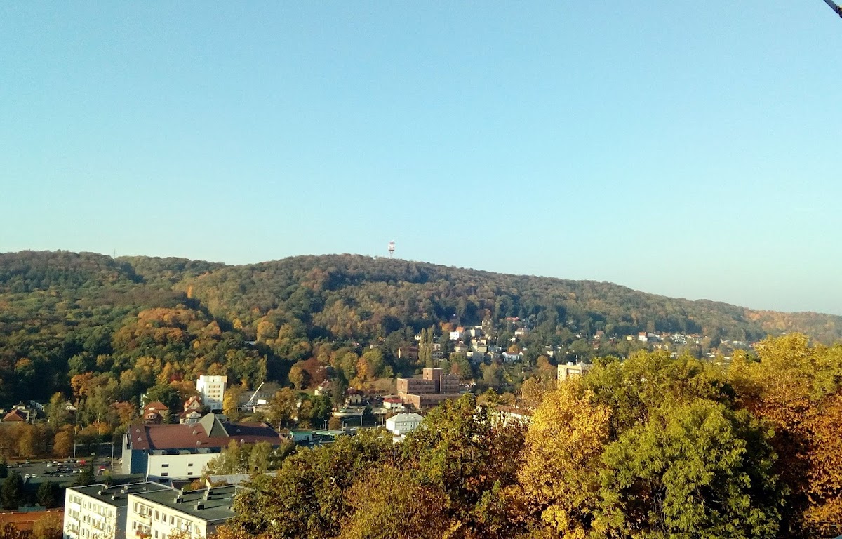 Krajská zdravotní, a.s. - Masarykova nemocnice v Ústí nad Labem, o.z., odborné amb. - foto 7