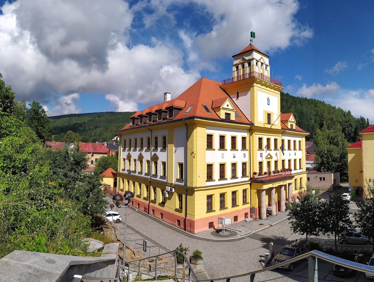 Kraslice, Místní protidrogový koordinátor - foto 1