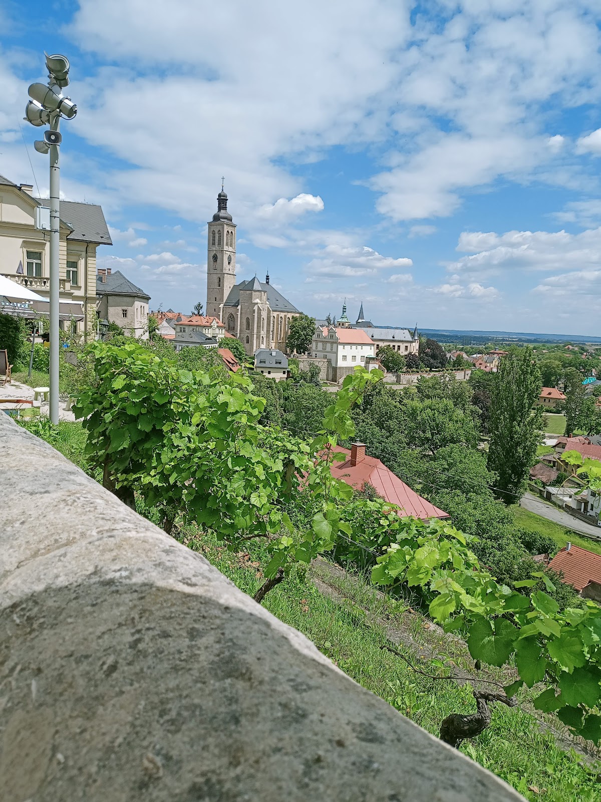 Kutná Hora, Místní protidrogový koordinátor - foto 4