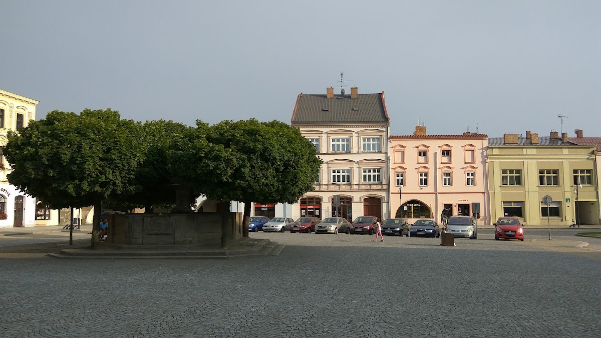 Lipník nad Bečvou, Místní protidrogový koordinátor - foto 9