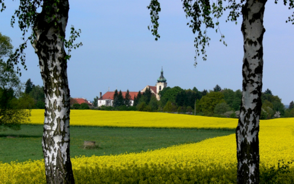 Lnáře, Psychiatrická léčebna - foto 6