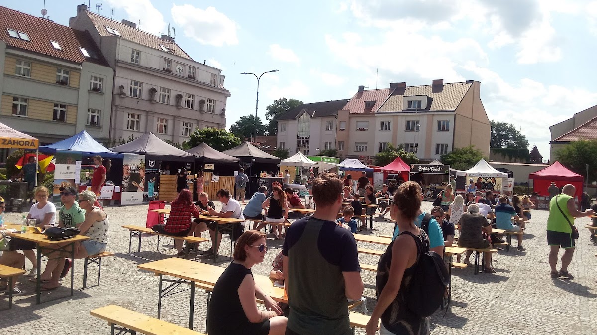 Lysá nad Labem, Místní protidrogový koordinátor - foto 2