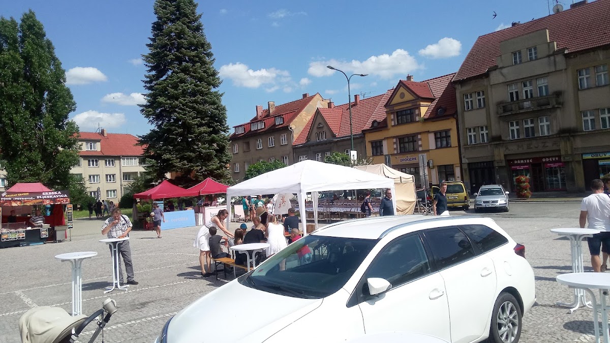 Lysá nad Labem, Místní protidrogový koordinátor - foto 3