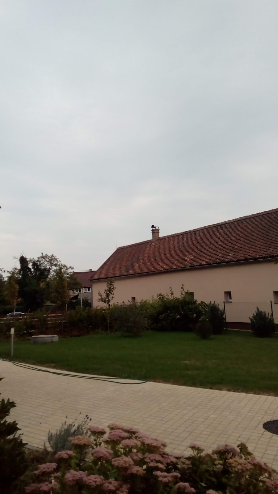 Národní program boje proti AIDS v České republice - foto 2