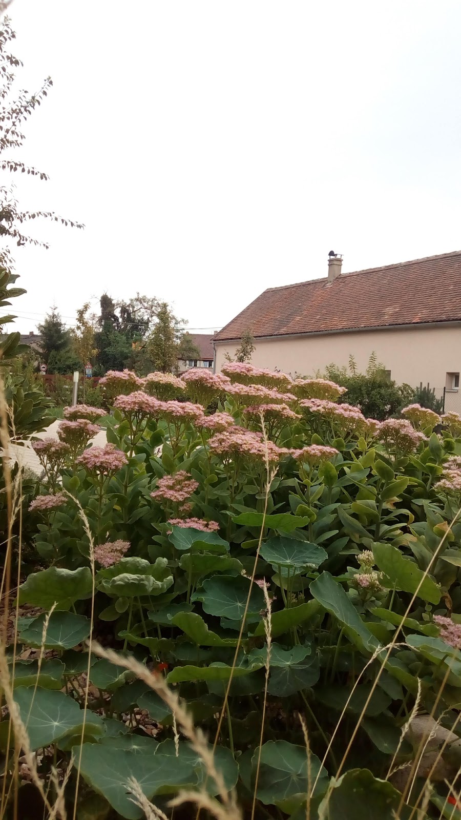 Národní program boje proti AIDS v České republice - foto 6