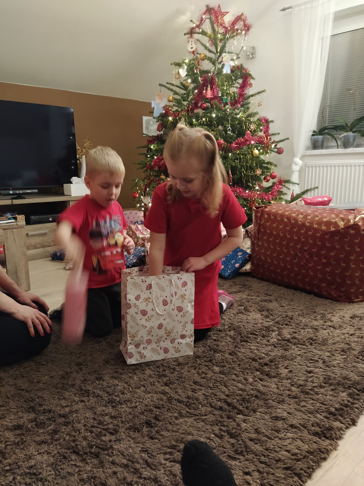 Národní program boje proti AIDS v České republice - foto 7