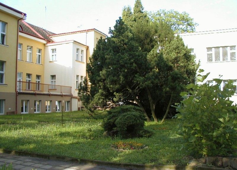 Nechanice, Léčebna návykových nemocí - foto 1