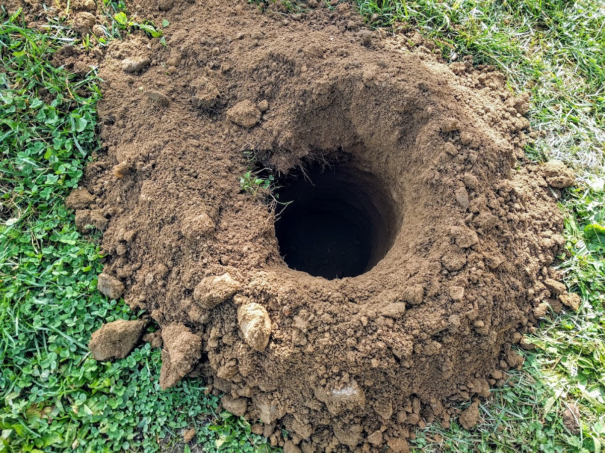 o. s. Ježek a čížek - foto 6