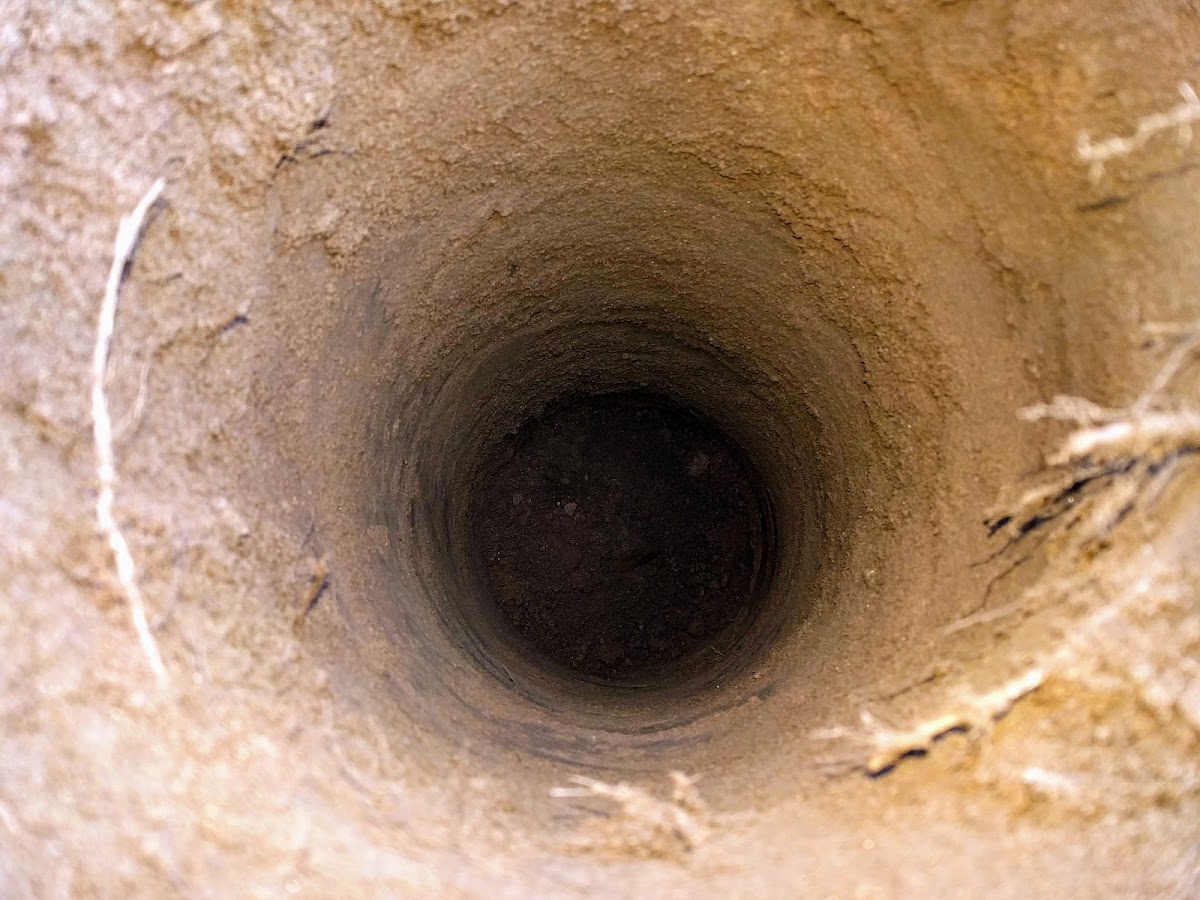 o. s. Ježek a čížek - foto 8