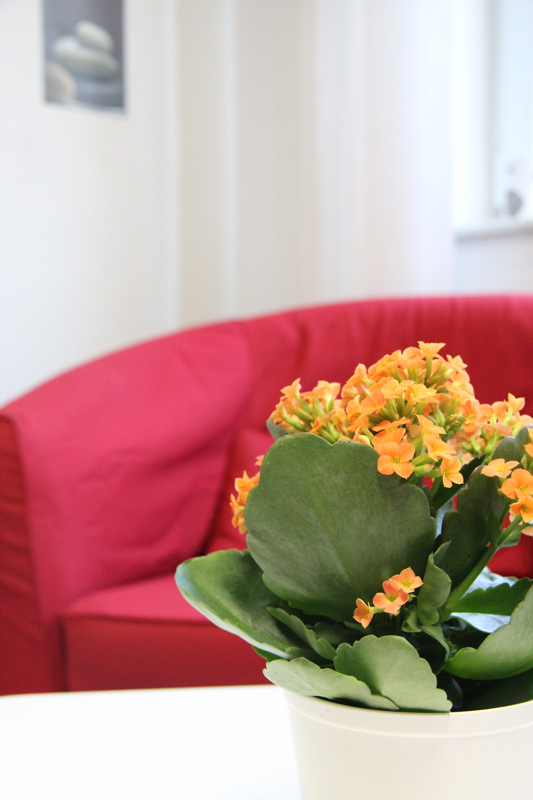 Olomouc, Adiktologická ambulance prevence a léčby závislostí - foto 8